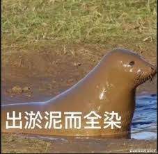 CryptoNeo tweet media