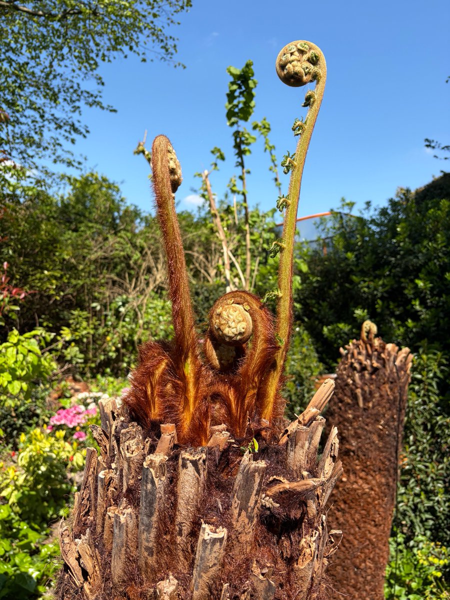 Liam Gallagher tweet media