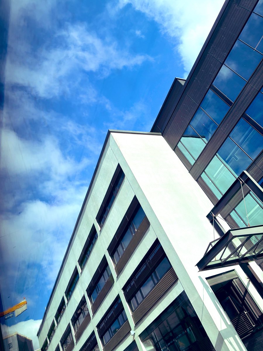 🫧•JD•🫧 tweet media