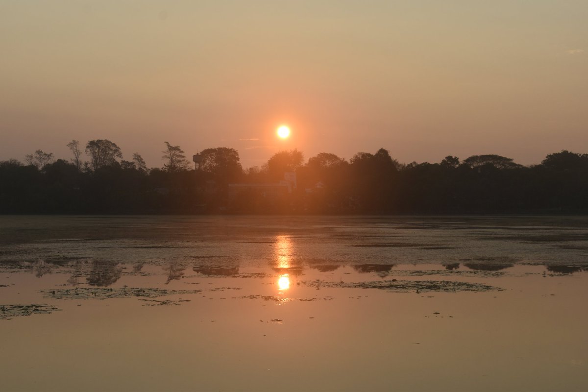 Cerberane's tweet image. More Lovely views from one of my morning #walks around อ่างเก็บน้ำหนองบัว in late February 
วิวสวยๆ จากการเดินเที่ยวรอบๆ อ่างเก็บน้ำหนองบัวช่วงปลายเดือนกุมภาพันธ์
#trees
#sunrise 
#lake 
#nature
#naturelovers
#naturephotography
