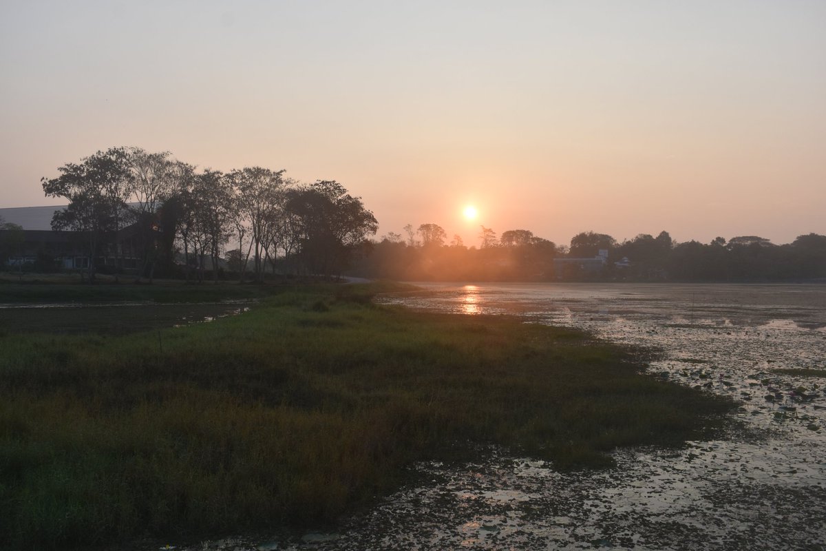 Cerberane's tweet image. More Lovely views from one of my morning #walks around อ่างเก็บน้ำหนองบัว in late February 
วิวสวยๆ จากการเดินเที่ยวรอบๆ อ่างเก็บน้ำหนองบัวช่วงปลายเดือนกุมภาพันธ์
#trees
#sunrise 
#lake 
#nature
#naturelovers
#naturephotography