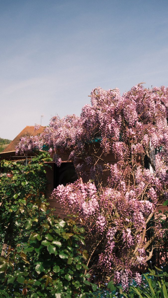 Namsu 🕯 tweet media