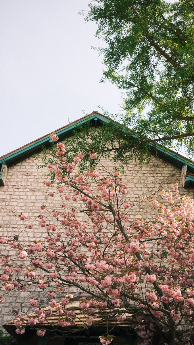 Namsu 🕯 tweet media