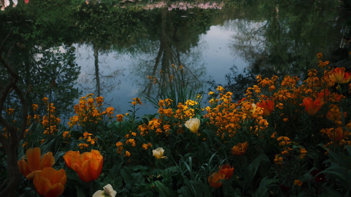 Namsu 🕯 tweet media