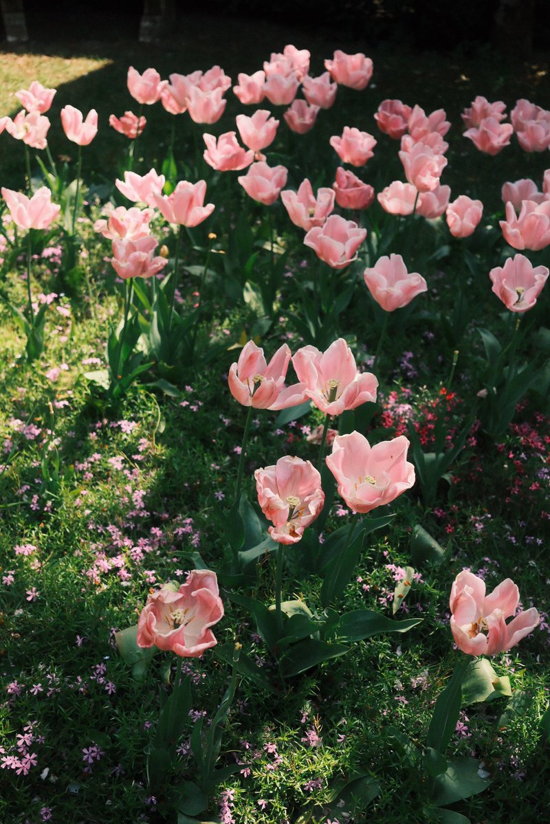 Namsu 🕯 tweet media