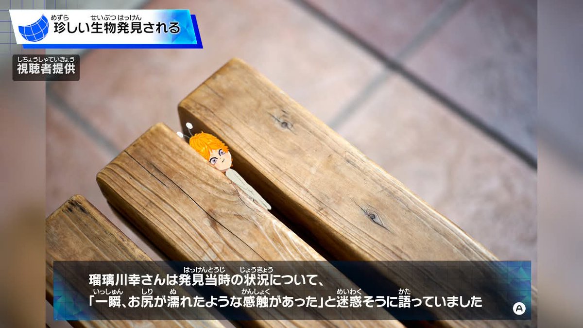 谷📚📖😵‍💫❓ tweet media