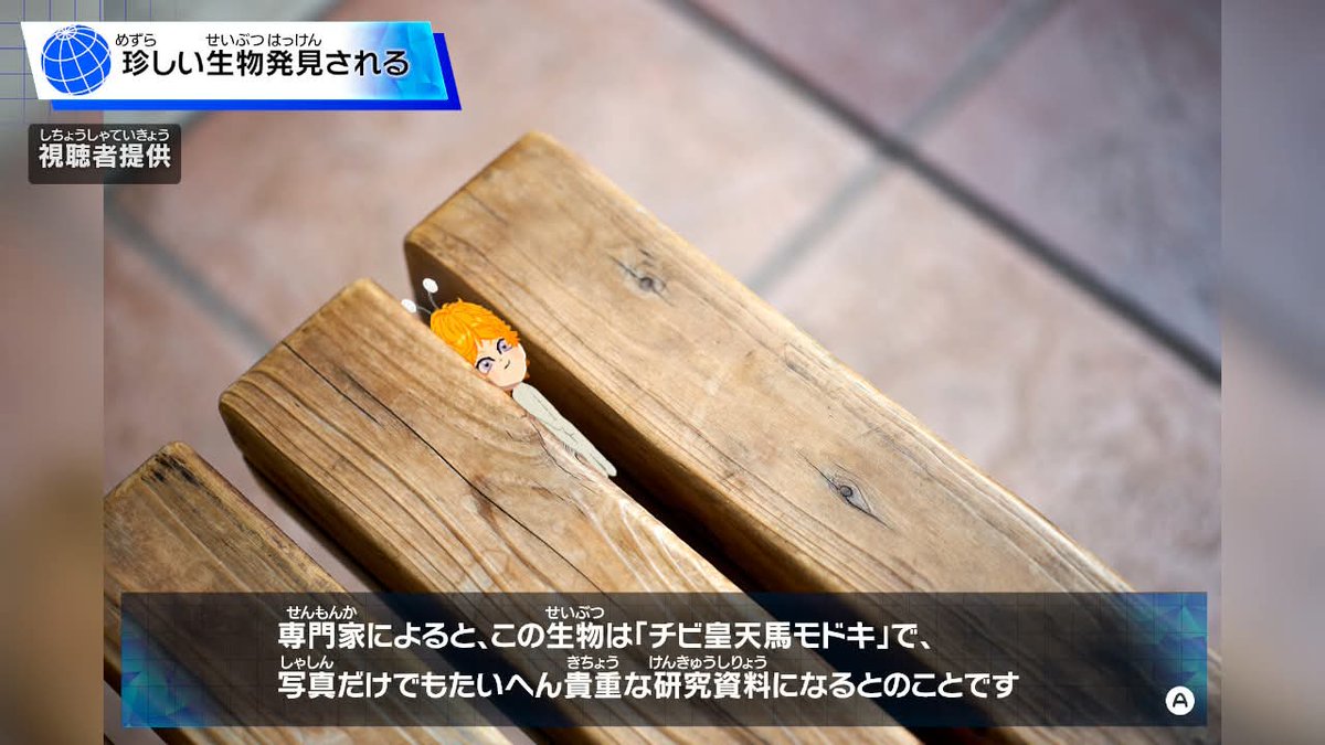 谷📚📖😵‍💫❓ tweet media