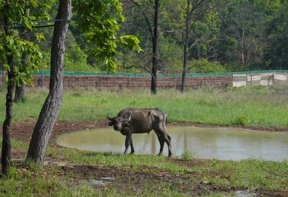 Chief Minister, MP tweet media