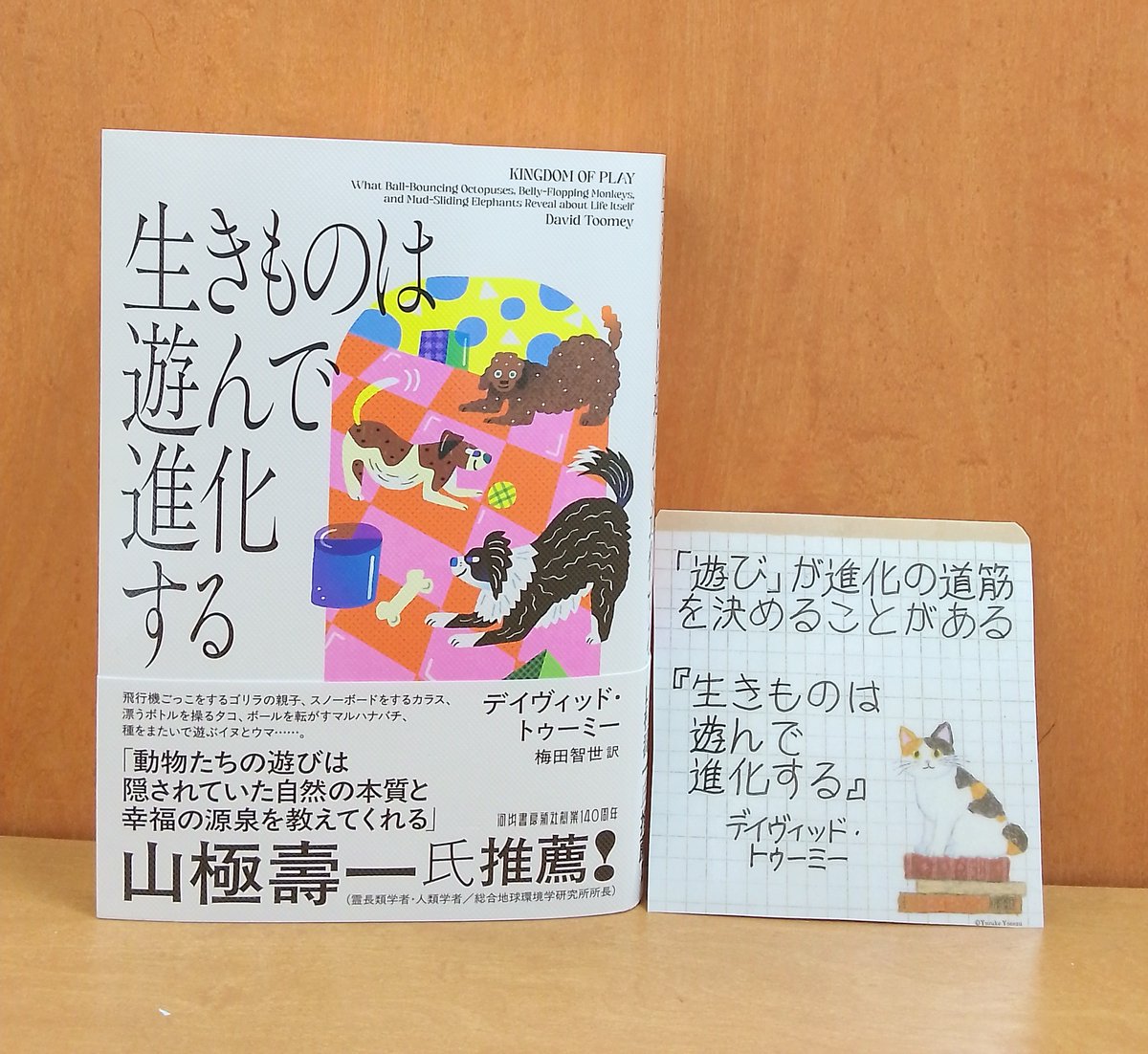 くまざわ書店佐世保店 tweet media