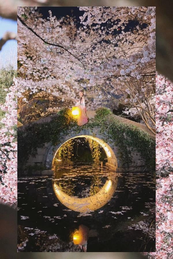 Sean Brodhacker tweet media