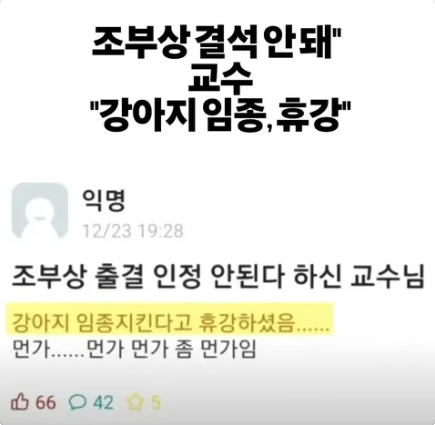 감자 tweet media