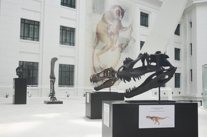 dee ⁴⁷ tweet media