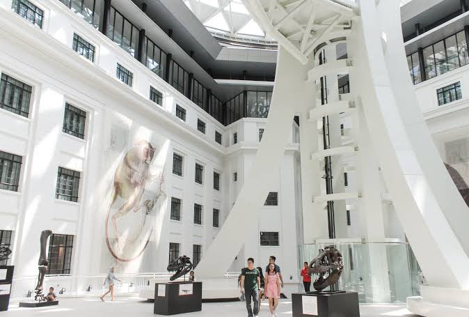 dee ⁴⁷ tweet media