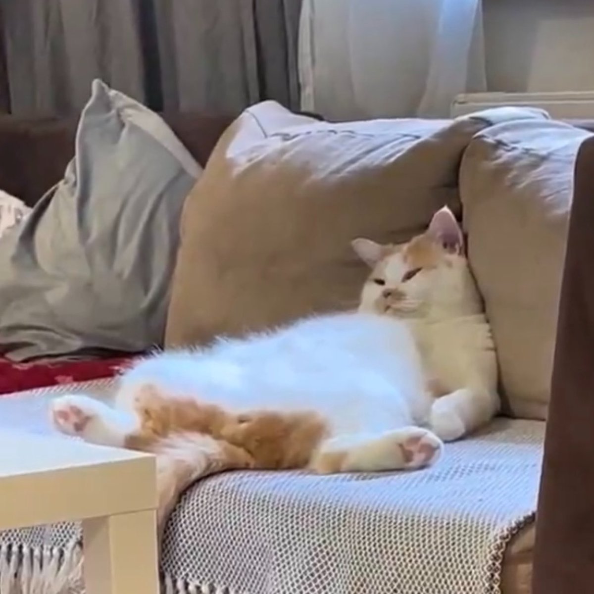 ☀️🌚 จ้วมเจี้ยม 🌝☀️ tweet media