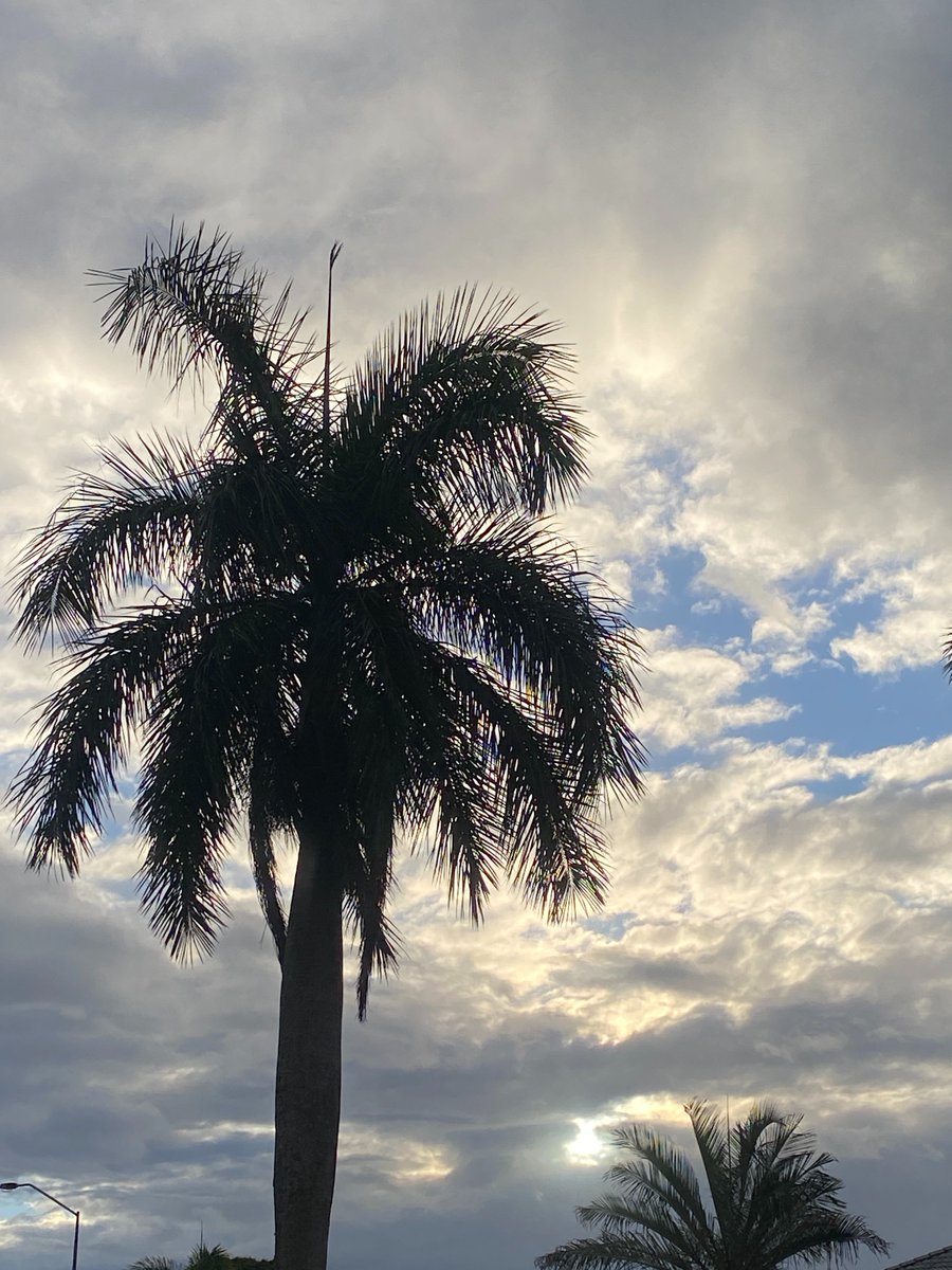 JeaneneHyles's tweet image. and the clouds moved back in tonight

#goldcoast #sunset