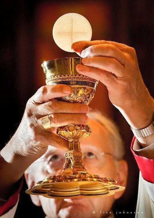 Rev .Vitus tweet media