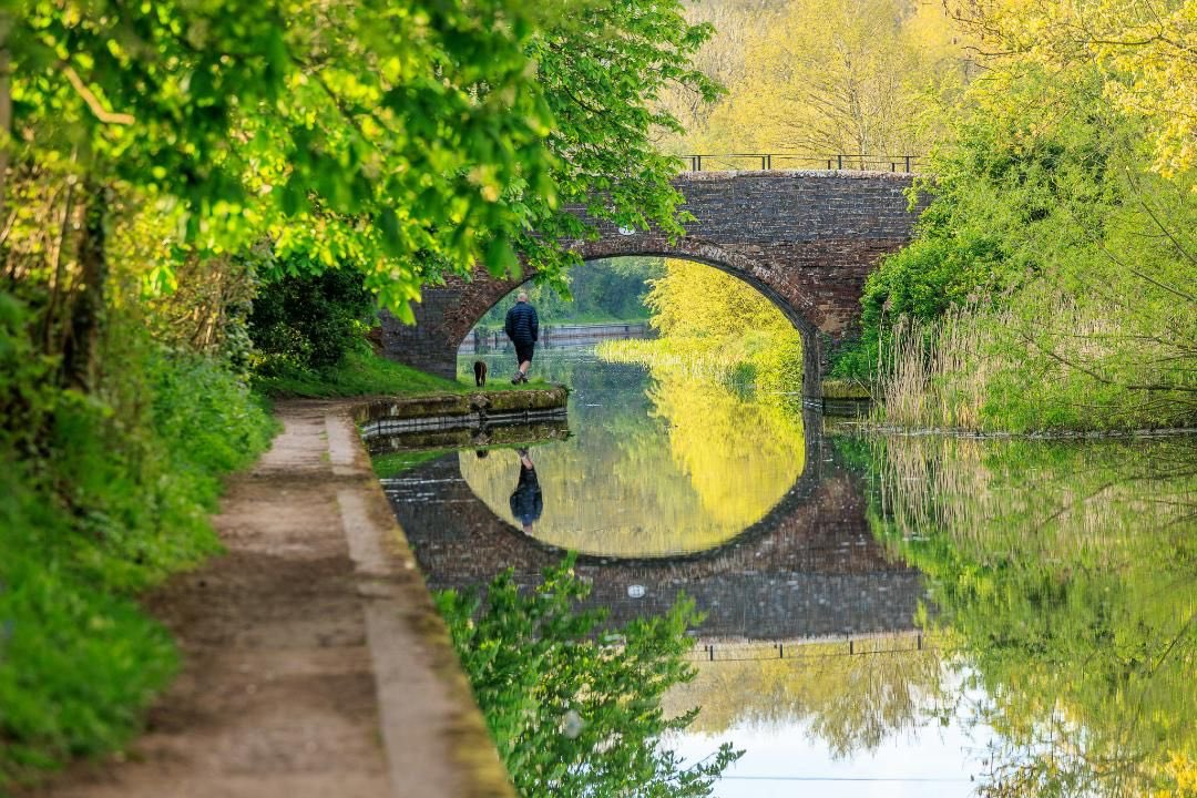 SolihullUpdates's tweet image. Good Morning #Solihull

#Tuesday will start mostly cloudy with scattered showers. Turning drier and brighter with sunny spells this afternoon. Moderate winds. Highs of 15°C &amp;amp; Lows of 7°C

(Image: @No1GhostDog).