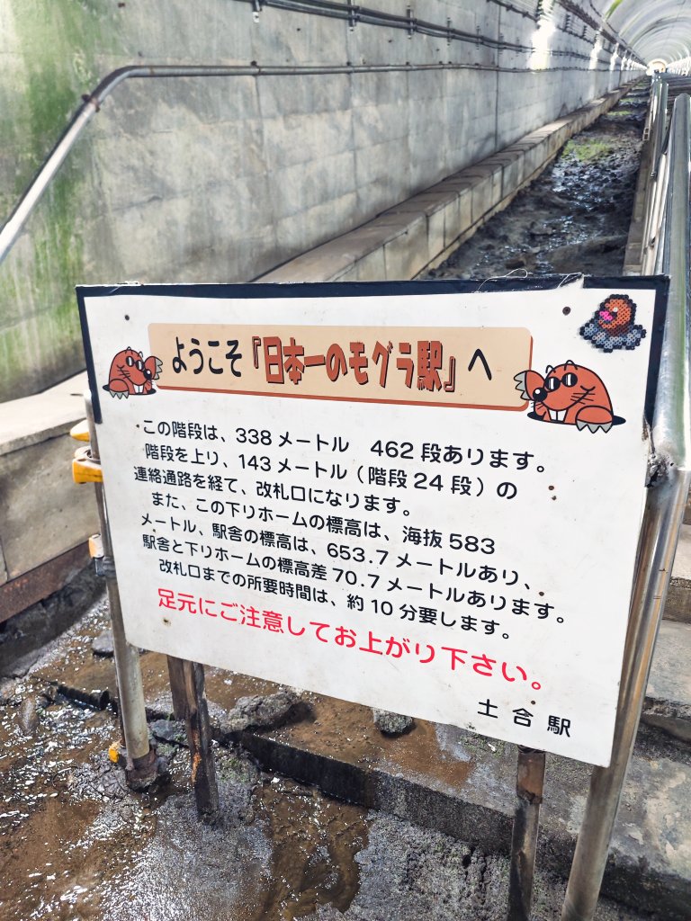 おむらいす☆王子 tweet media