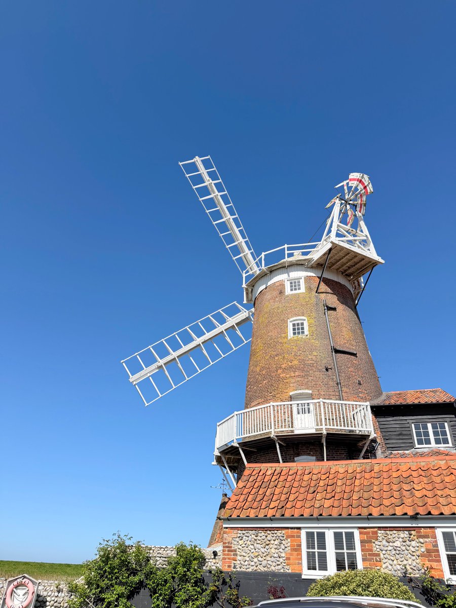 Driftwood By Sea tweet media