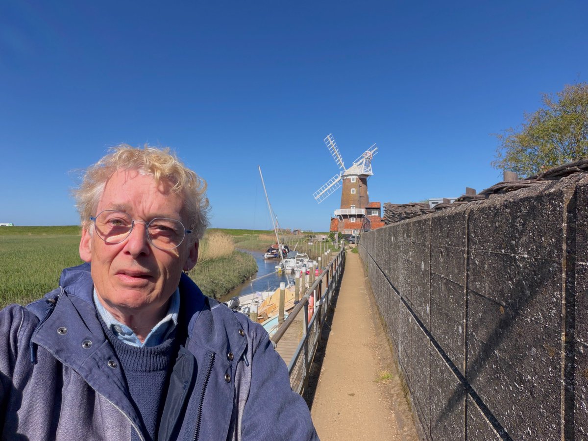 Driftwood By Sea tweet media