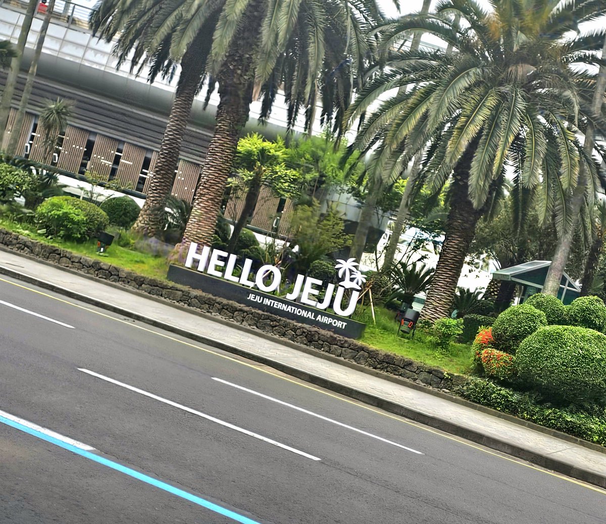 메인트 커뮤홍보) ℕ𝕀ℝ tweet media