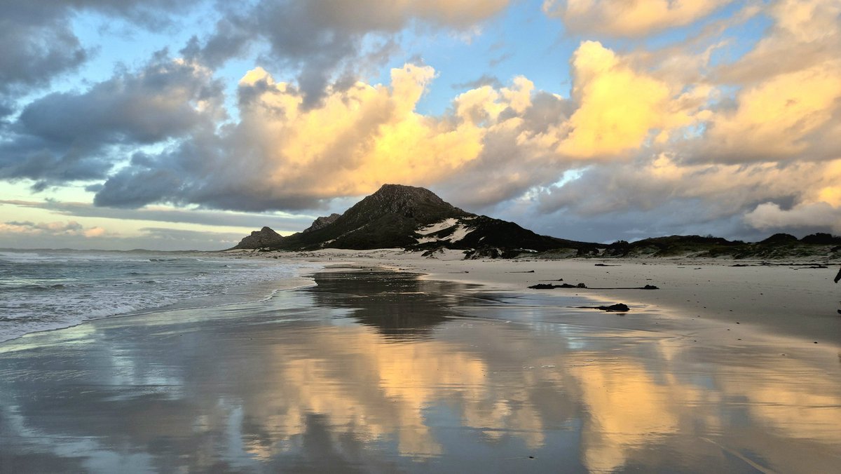 Rene Nel tweet media