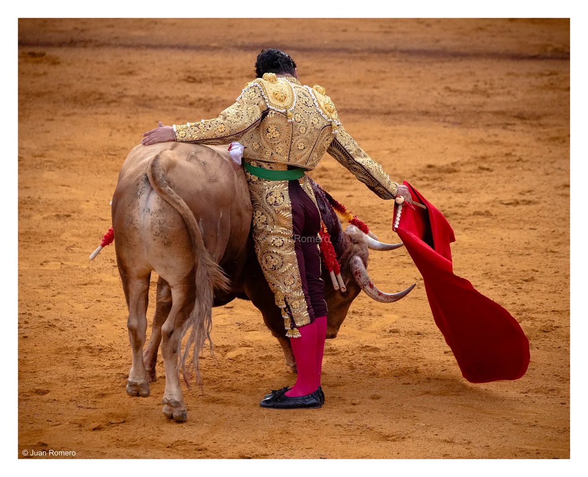 Tercio de Quites tweet media