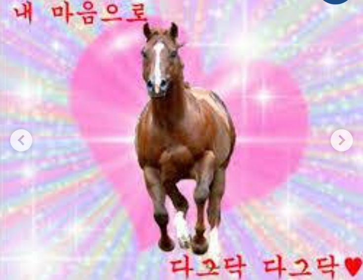 말린다시마 tweet media