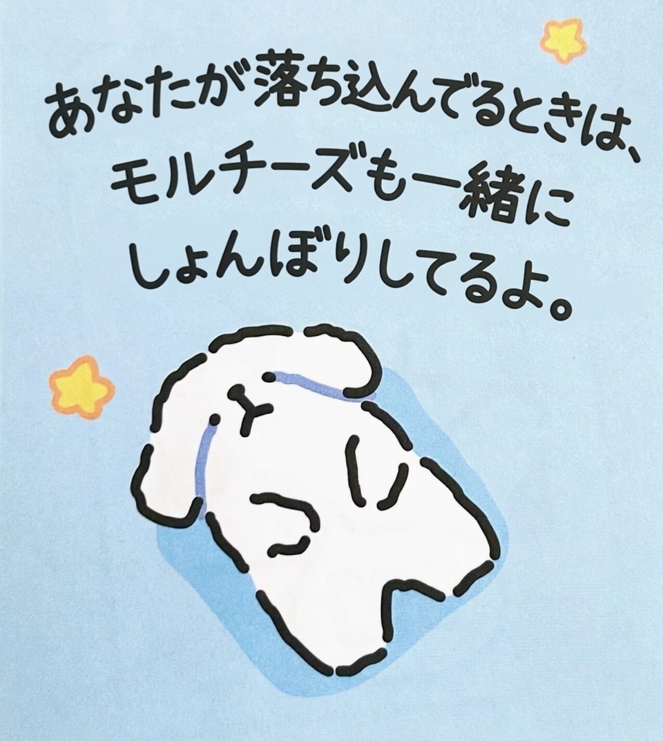 shio@🐶 tweet media
