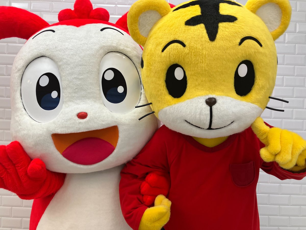 【公式】進研ゼミ小学講座 / コラショ tweet media