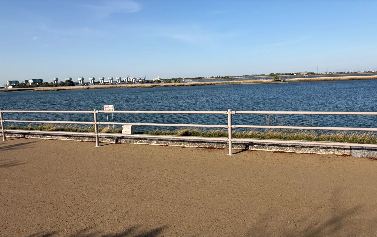 ピクミン tweet media