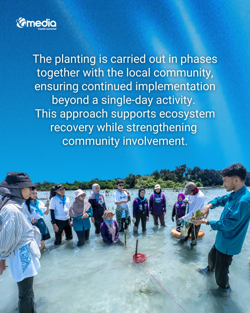kgmediaID's tweet photo. By supporting seagrass restoration, we contribute to protecting marine biodiversity, strengthening coastal resilience, and capturing blue carbon.

For KG Media, sustainability is not just a narrative, it’s a responsibility we act on.🌱

#PulauPari #Seagrass #KGMedia https://t.co/VEJPj5YtWn