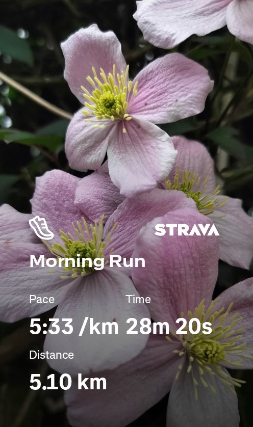 MillingtonSally's tweet image. Morning 5km run 
Back in Blighty, and despite the cloudy start York is looking blooming lovely. 
Nice to be able to pick up the pace in the cooler air too! 
Happy Tuesday! 😀🏃‍♀️🇬🇧
#York #Running #UnitedKingdom