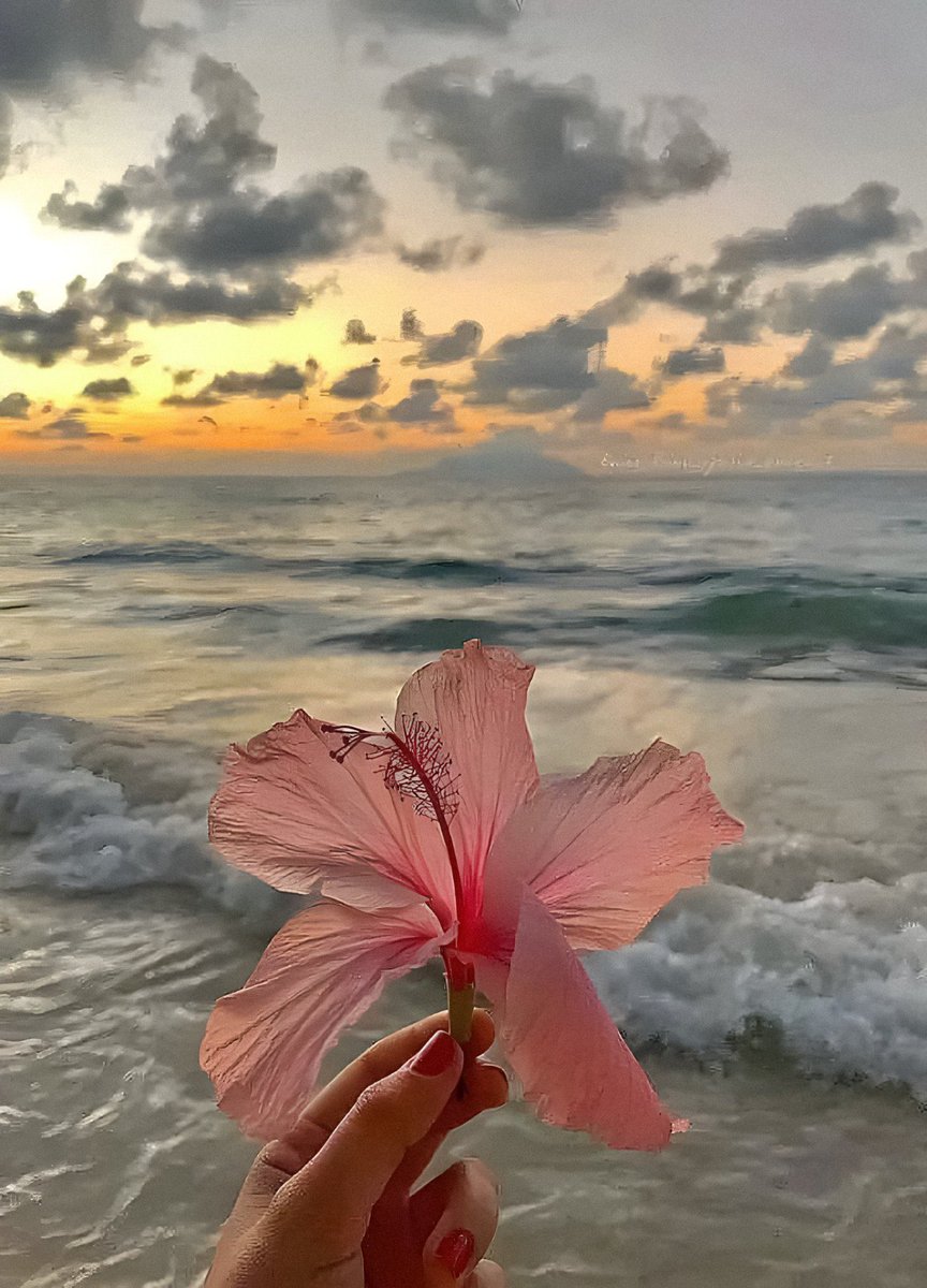 𝑎𝑒𝑠𝑡ℎ𝑒𝑡𝑖𝑐 𝑎𝑟𝑡 tweet media