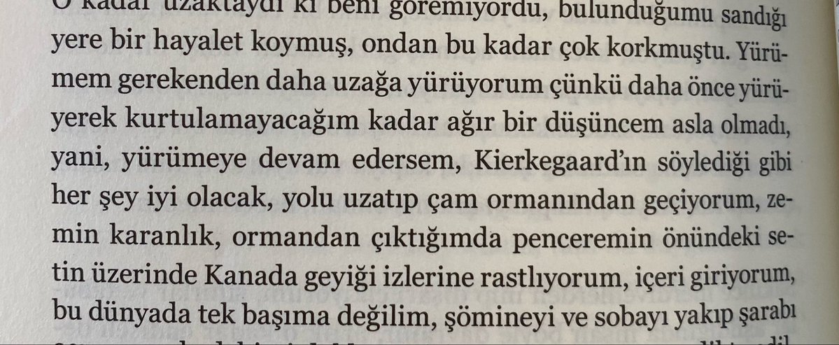 tuğᥫᩣa 𓅪 tweet media