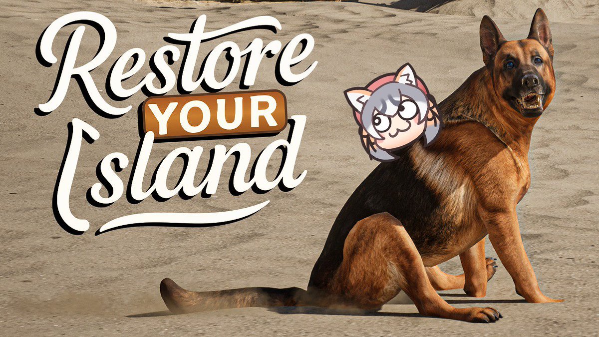 シマハイイロギツネ🏝🦊 tweet media