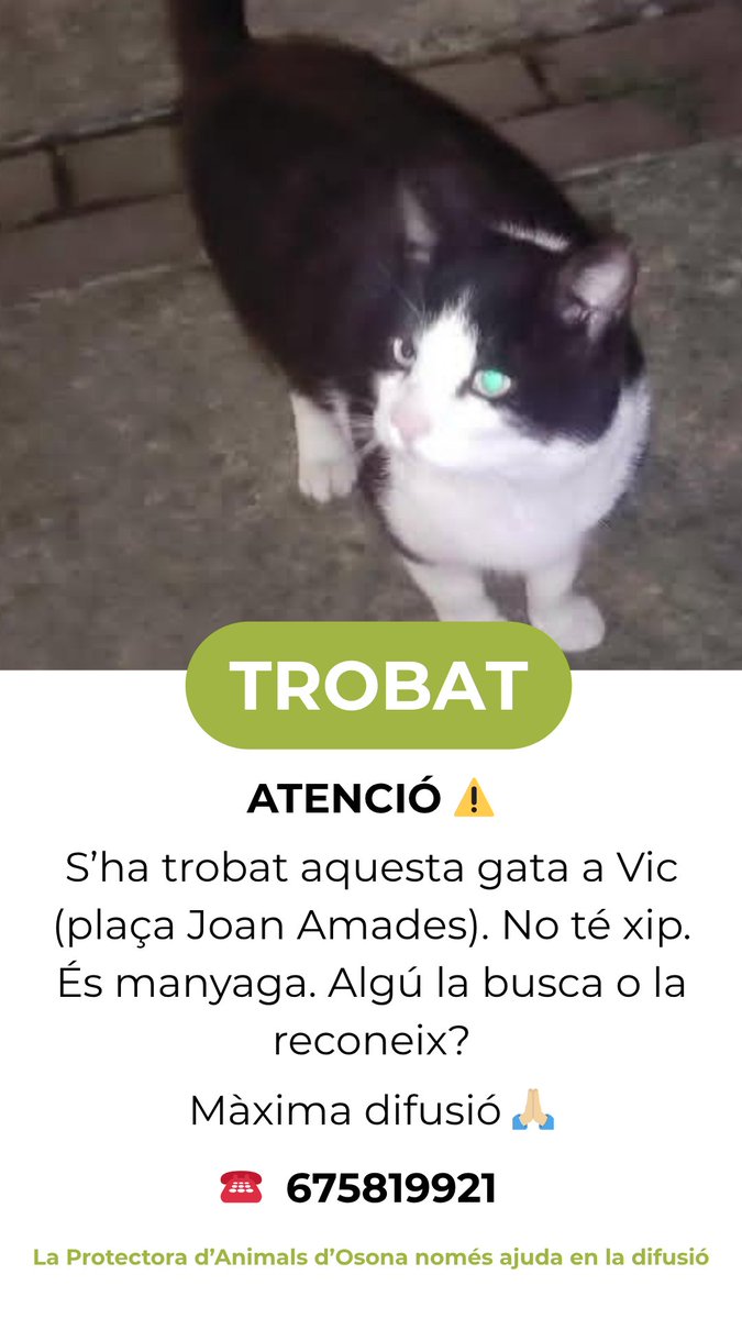 Protectora d'Animals d'Osona tweet media