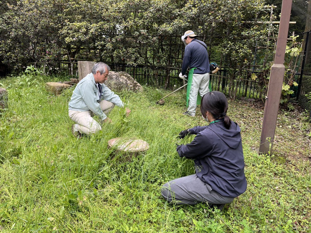 千葉市動物公園【公式】 tweet media