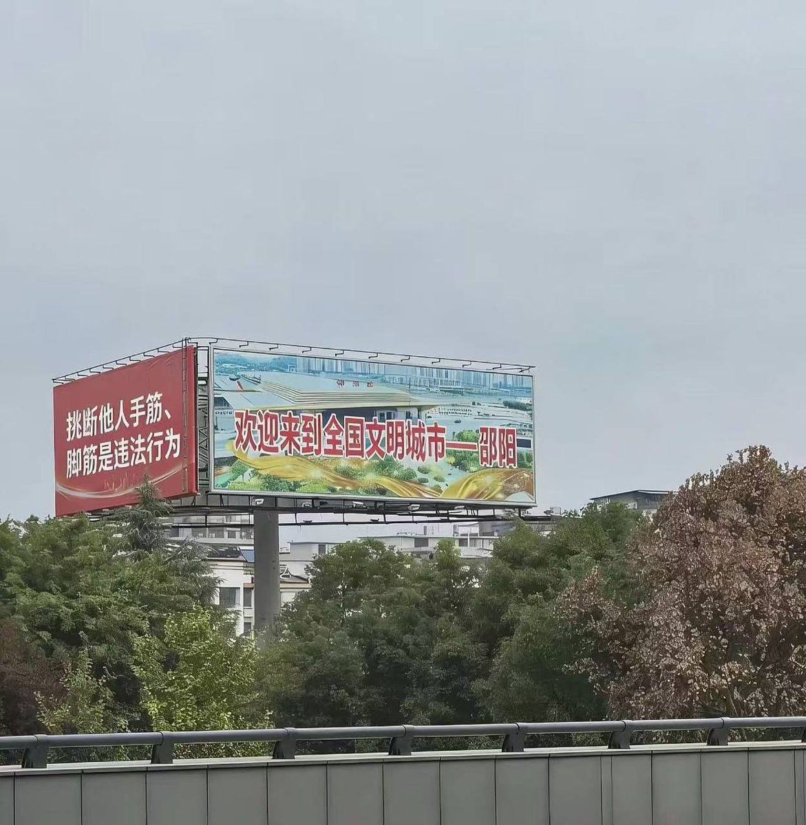 墙国蛙哈哈🐸 tweet media