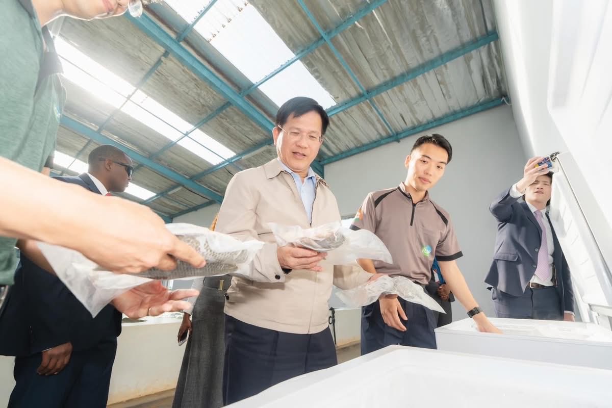 chia_lung's tweet image. Visited a technical mission in #Eswatini and saw #Taiwan’s agri expertise in action, from guava and dragon fruit to strawberries and tilapia. Our teams are helping boost local production and livelihoods. Taiwan will keep working with partners to deliver real impact.
