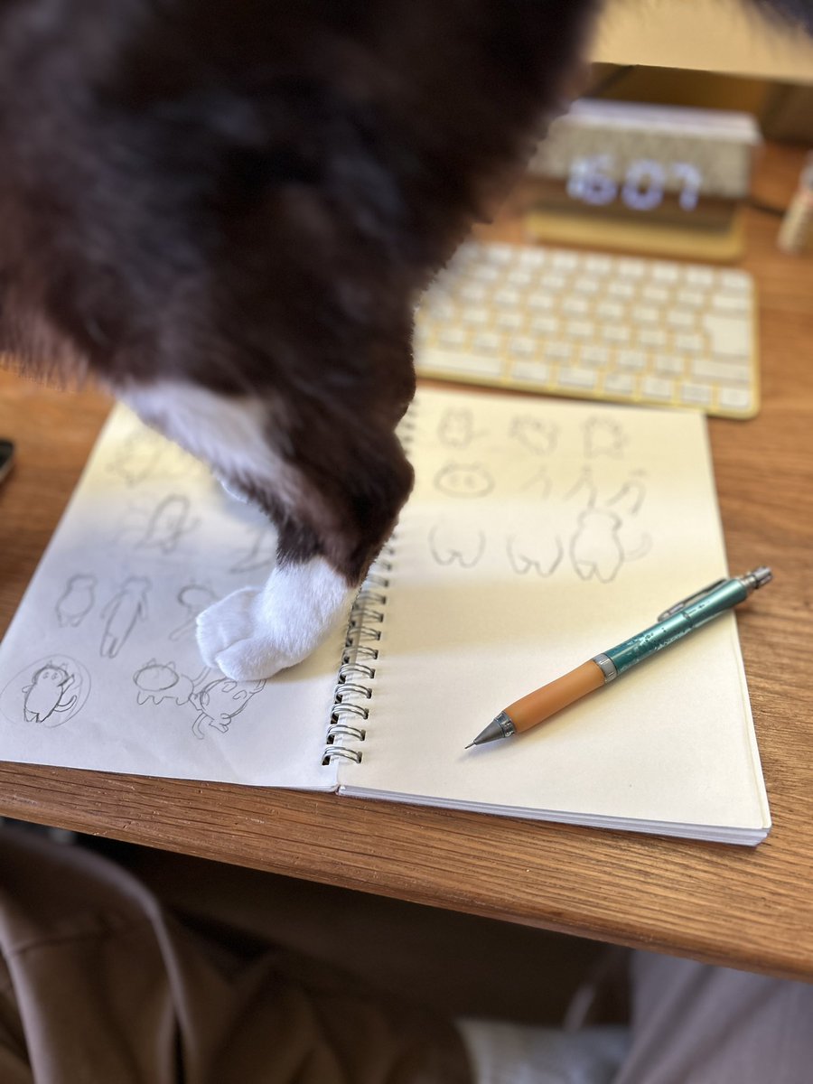 保護猫カフェCAPOT tweet media