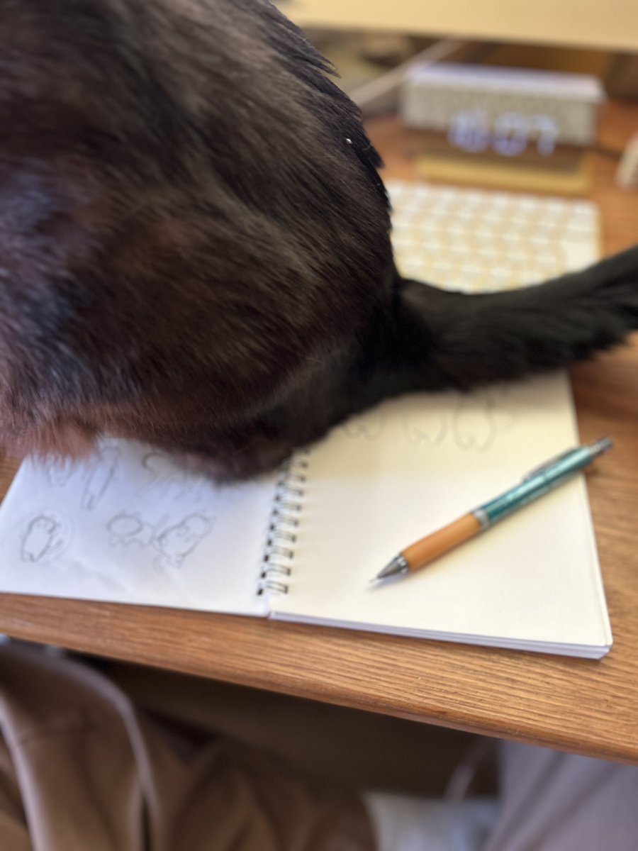 保護猫カフェCAPOT tweet media