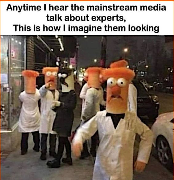 Nobody special tweet media