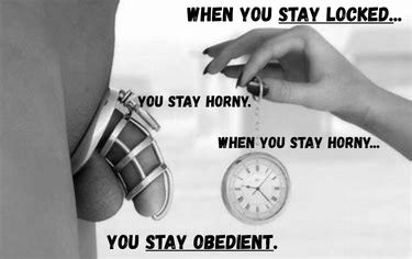 Femdom Today tweet media