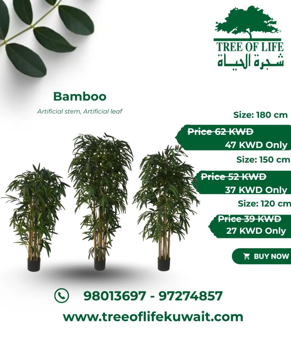 treeoflifekwt's tweet image. #bambootree #ElegantDesign #MinimalAesthetic #GreenVibes #LuxuryLifestyle
#ModernLiving #specialoffer #newhouse #furniture #greenwallkuwait #plantwork #plant #treework #kuwaitoffer #bestoffer #maintenance #megaoffer #Treeoflifekuwait #Treekuwait #Plantkuwait #Artificialplant
