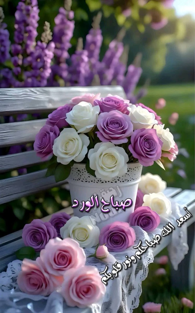 💕🌴''..شّـيّمِـآء..''🌴💕 tweet media