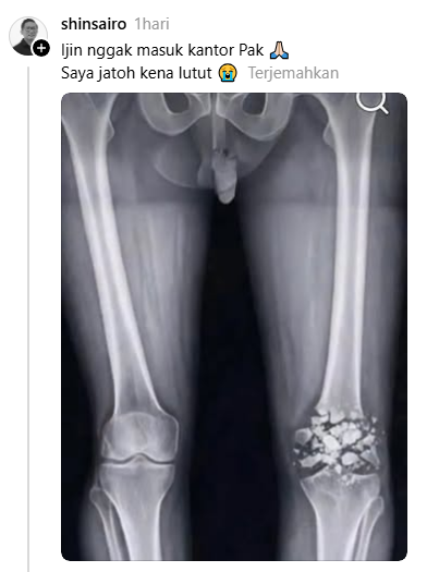 ✧ DisPlayful ✧ tweet media