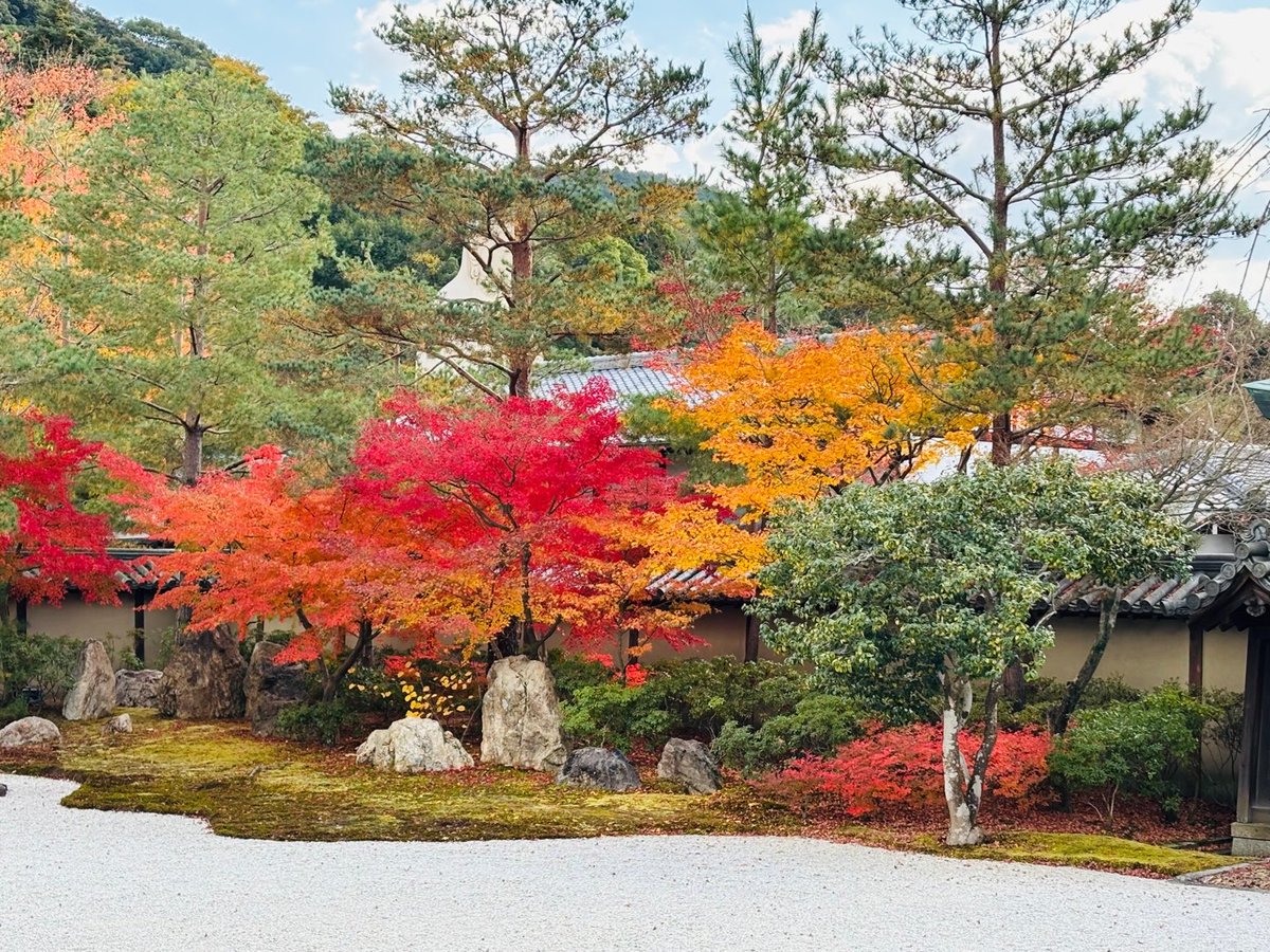 justonestep2025's tweet image. Even in stillness,
the colors speak 🍁

📍Kyoto

#AutumnInJapan #FallColors #TravelPhotography