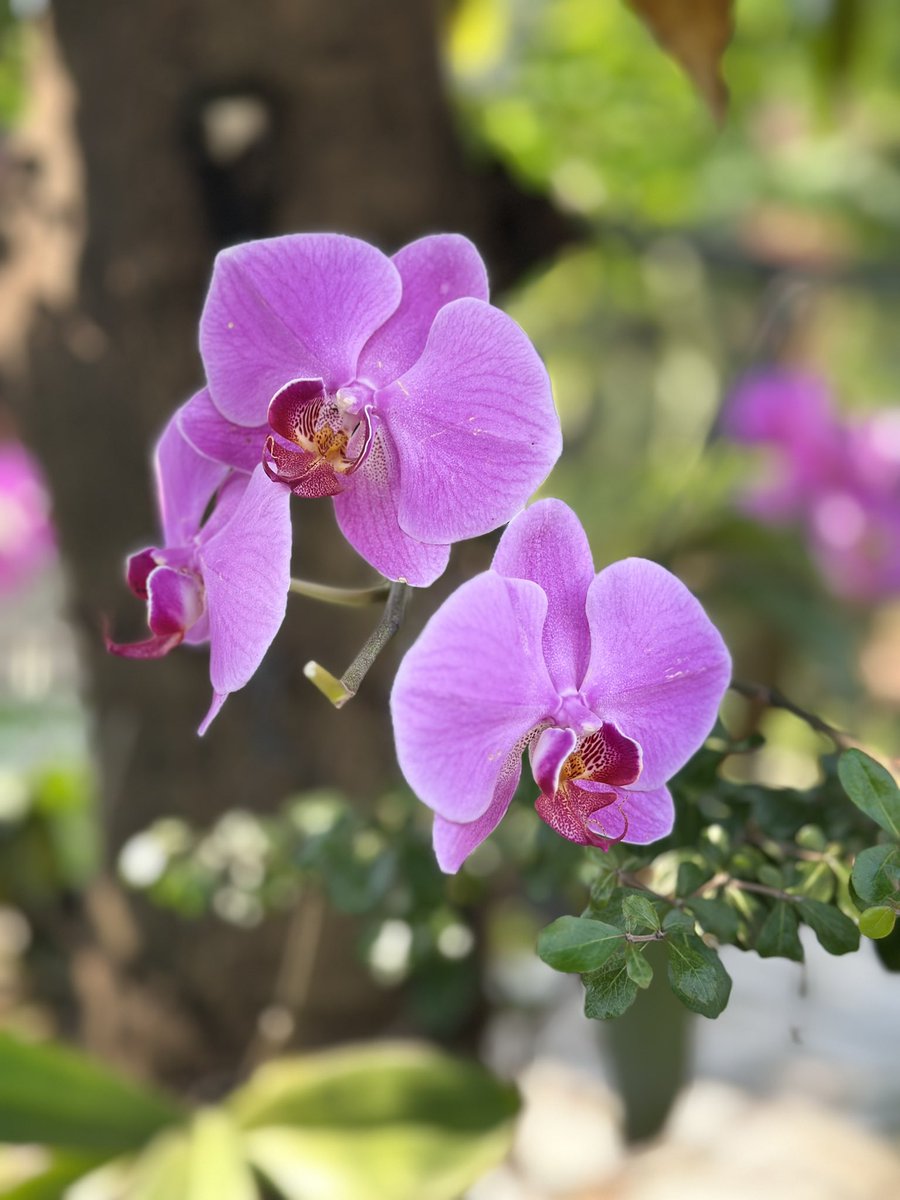  𝓮𝓶𝓫𝓾𝓷 tweet media