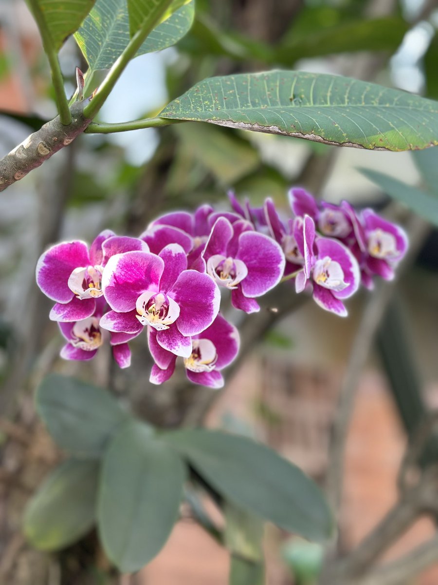  𝓮𝓶𝓫𝓾𝓷 tweet media